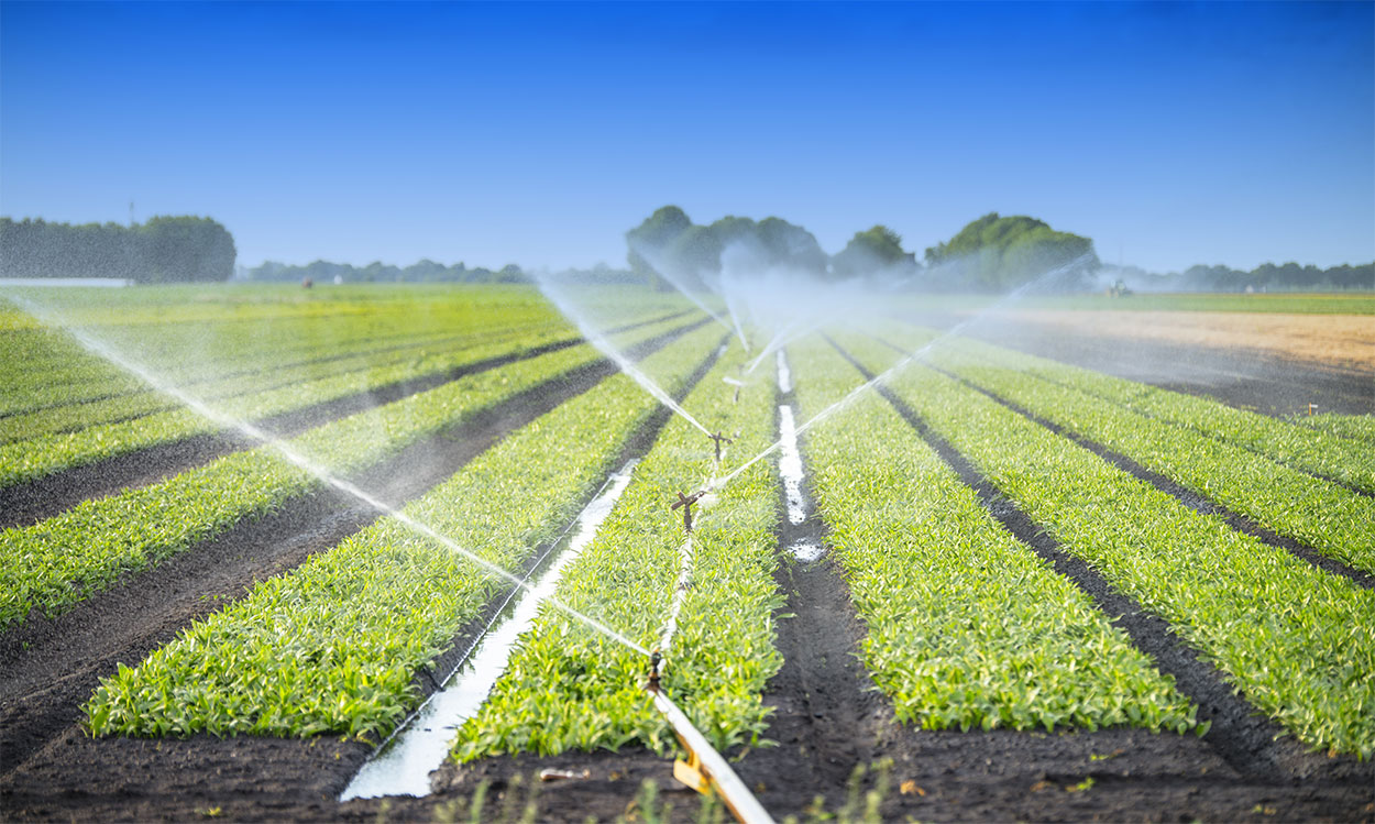 irrigation-services-in-arizona-southwest-irrigation